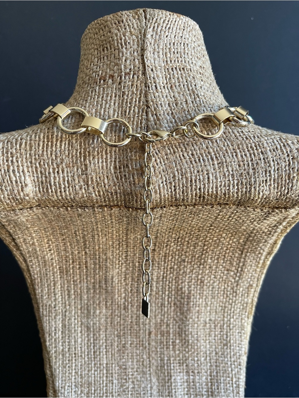Dannijo Gold-Tone Statement Chain Necklace with Textured Pendant - Picture 6 of 7